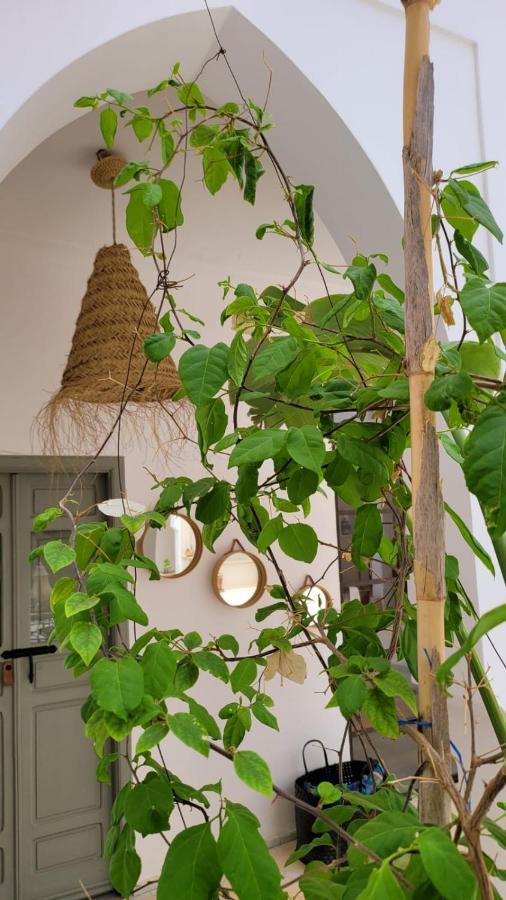Riad Nohad Marrakech Marraquexe Exterior foto